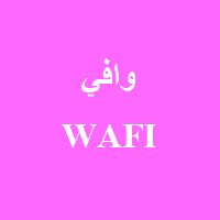 Wafi Aksesuarları ve Mobil Bakım